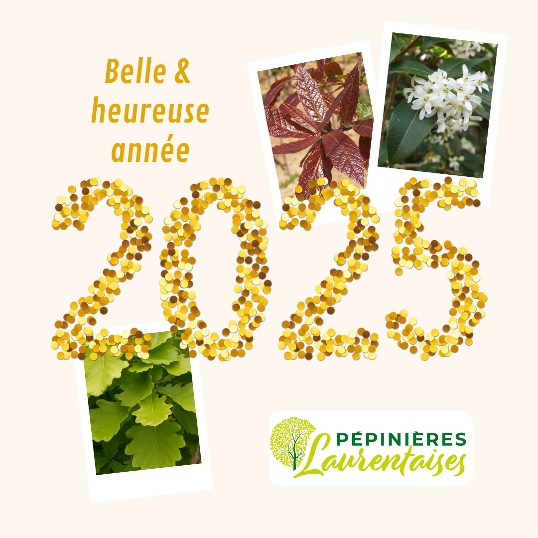 Beige Doré Bonne année 2025 Paillettes Publication Instagram Élégante